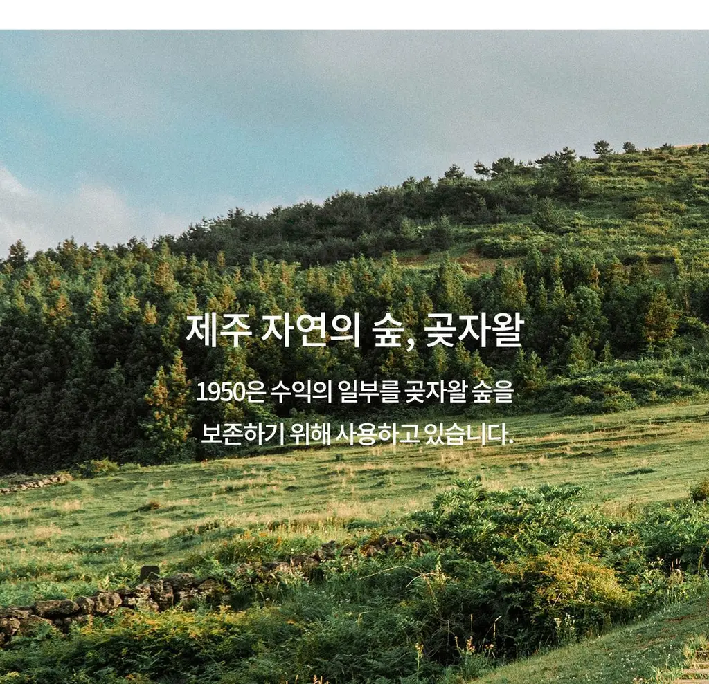 [불소 포함] 1950 제주 시트러스 블랙 치약 100g 상세페이지 23